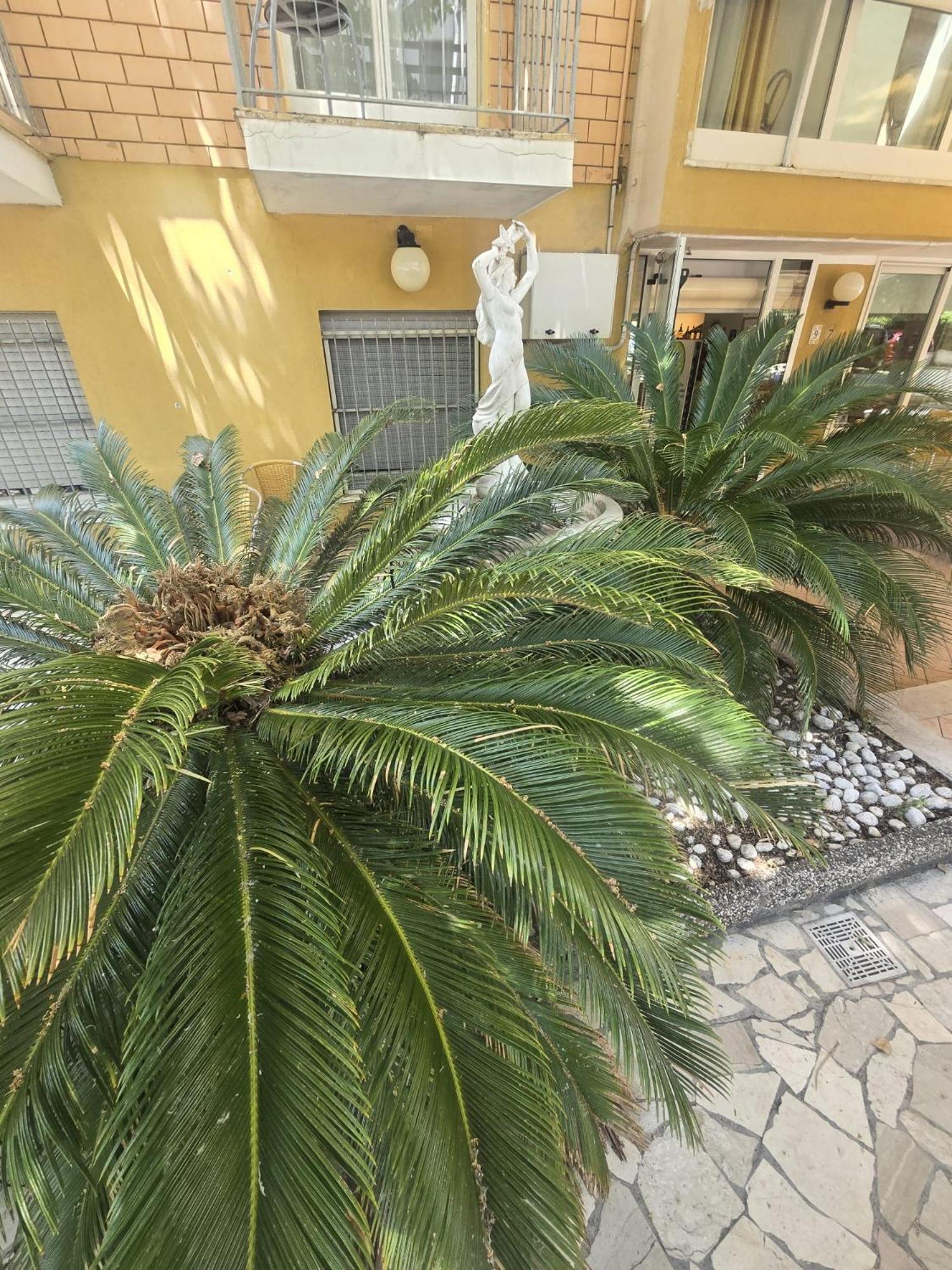 Hotel Majorca Римини Экстерьер фото